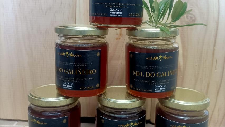 Primeiro test de mel